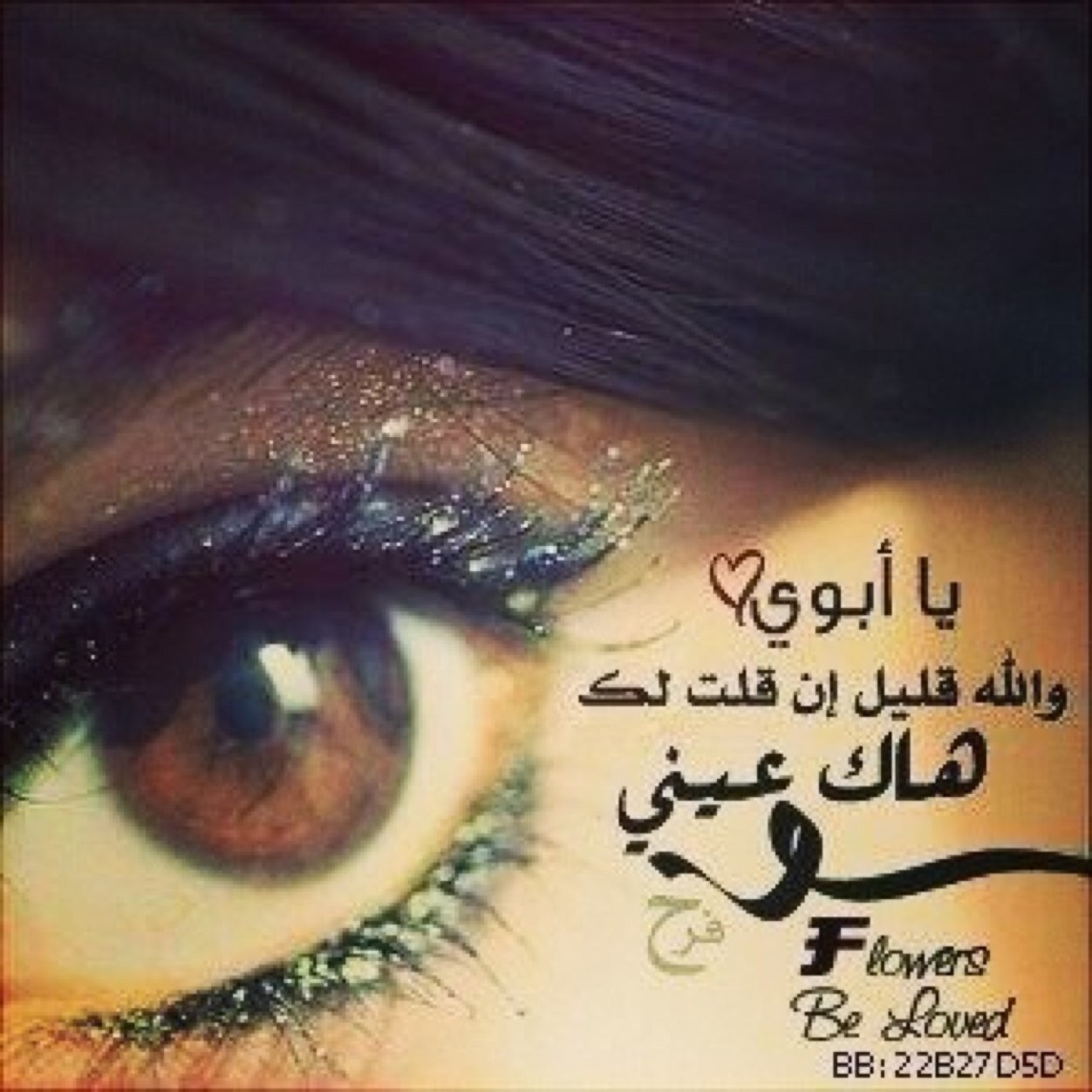 ممنوع الخاص