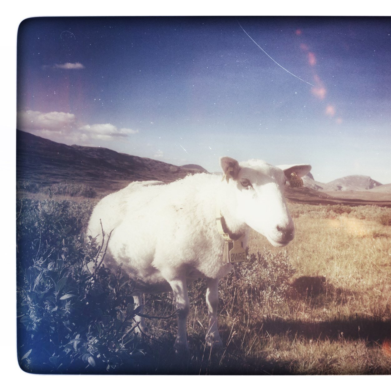 TorConsult's profile picture. 