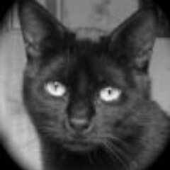 TwittNonchalant's profile picture. Un gars qui gazouille...