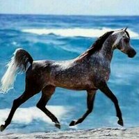عبد الله (@rt1992tr) 's Twitter Profile