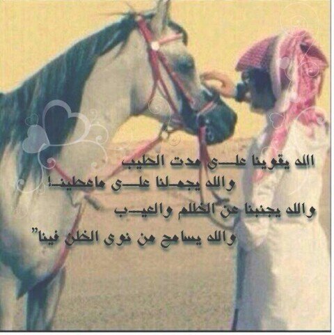 ‏(كِمّا تدِين تدِان)،هي الكَلمِهہ التِي يغِفل عِنها اصحِاب الضِمّير المَيت♡