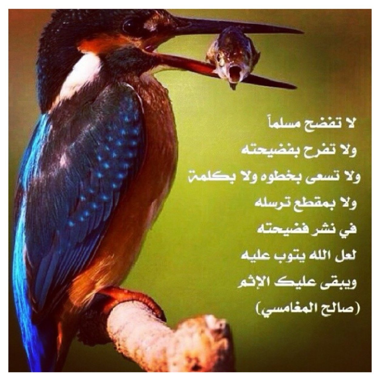 اللهم صل وسلم على نبينا وحبيبنا محمد