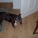 Amy Jane Pilcher - @PilcherJane - Twitter