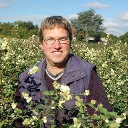 hoogerssnij's profile picture. kwekerij van snijheesters en pioenrozen