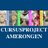 CPAmerongen's profile image