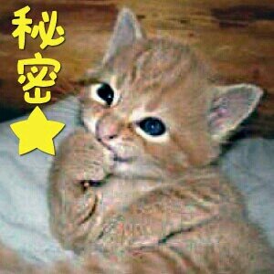 人妻、子供なし。仕事大好き、外に出たら片想いして楽しんでます(o^∀^o)
主婦らしいことには一切向かない愚妻です(笑)
化粧品、下着Love