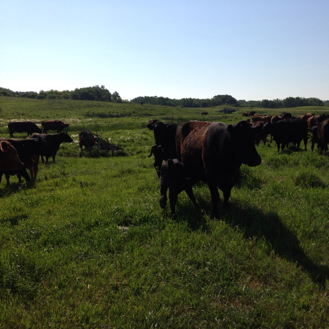 FathJason's profile picture. 