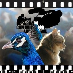 Nuestro canal en Youtube - http://t.co/q8sk9sa203