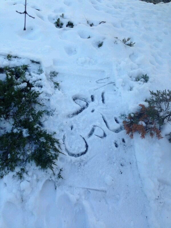 mlabban1432's profile picture. 