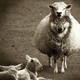 falseprophet_89's profile picture. 