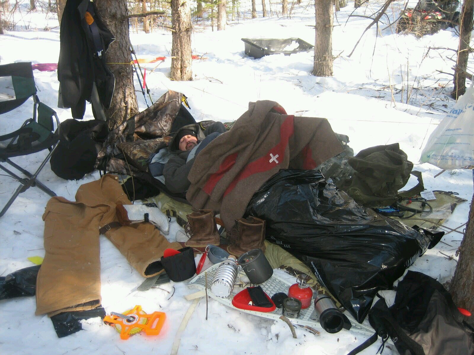 shotleybrook's profile picture. 