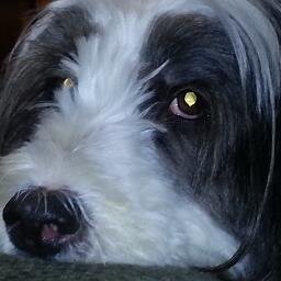 tazerb's profile picture. 