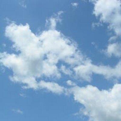 たか