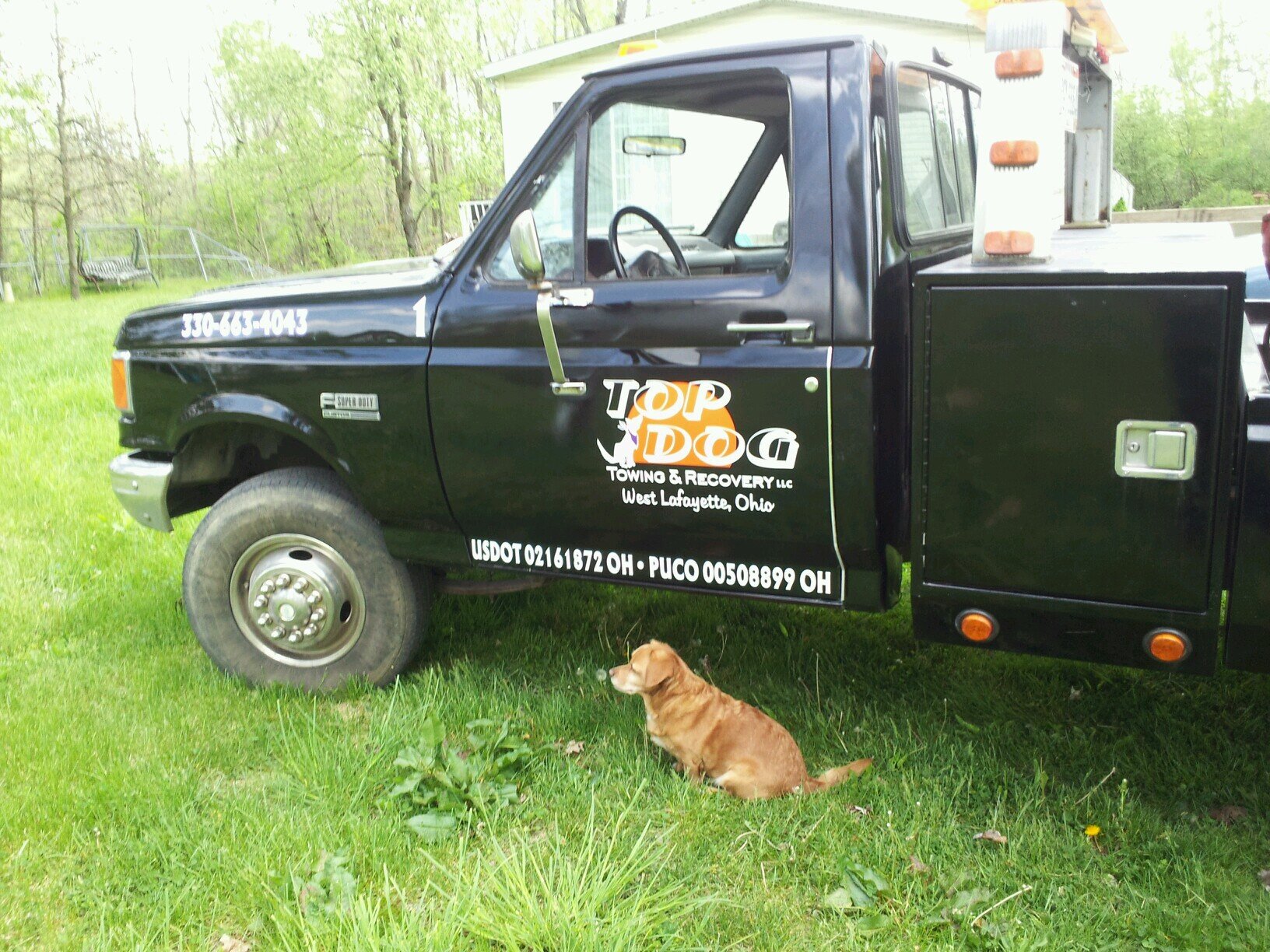 Towing and Recovery