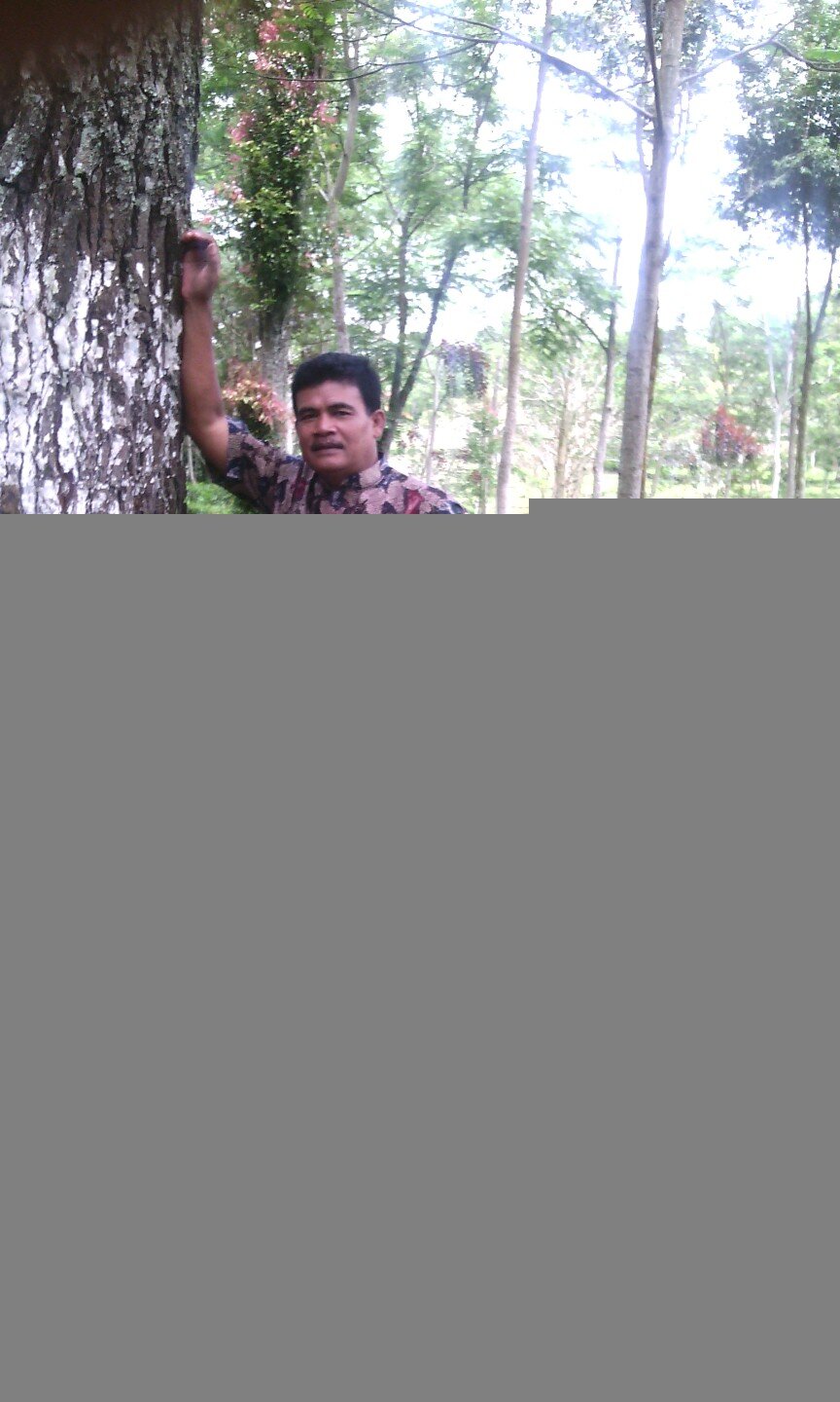 asepsolahudin62's profile picture. garut 30/10/'62