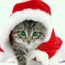 Roberto Falcone - @RobertoFalcon15 - Twitter