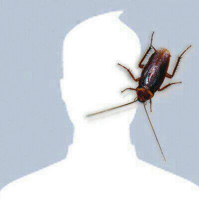 Solulwe's profile picture. Girl of my own