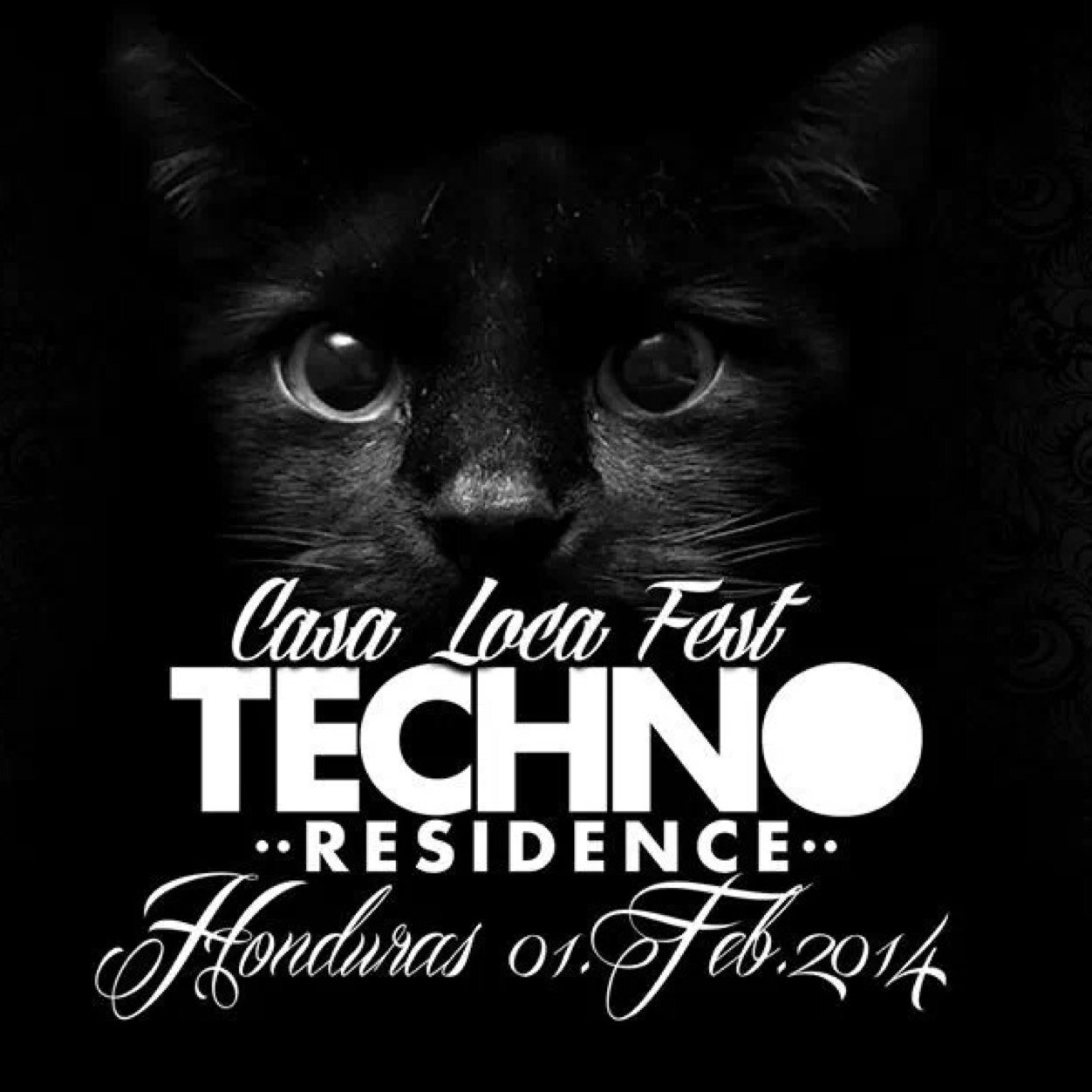 Festival Realizado por Frequency Records