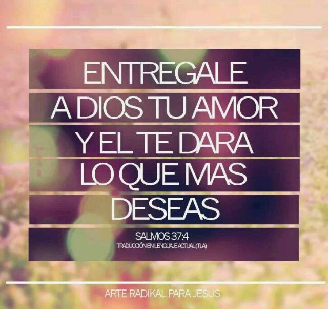 lucianamenossi's profile picture. Luciana Soledad  Menossi
Licenciada  en Psicología