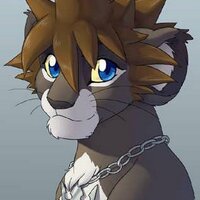 Sora (@mlp_sora_lion) Twitter profile photo