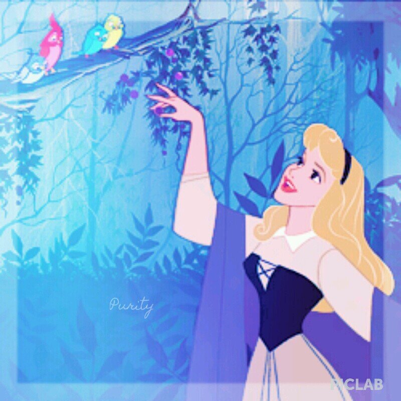 × Once upon A Dream... × |¤|Disney|RP|Multiverse|#DisneyAbided|¤|