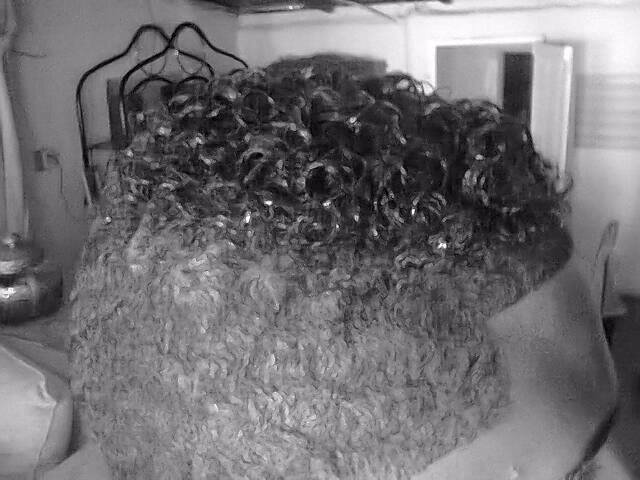 JoshLove_26's profile picture. 