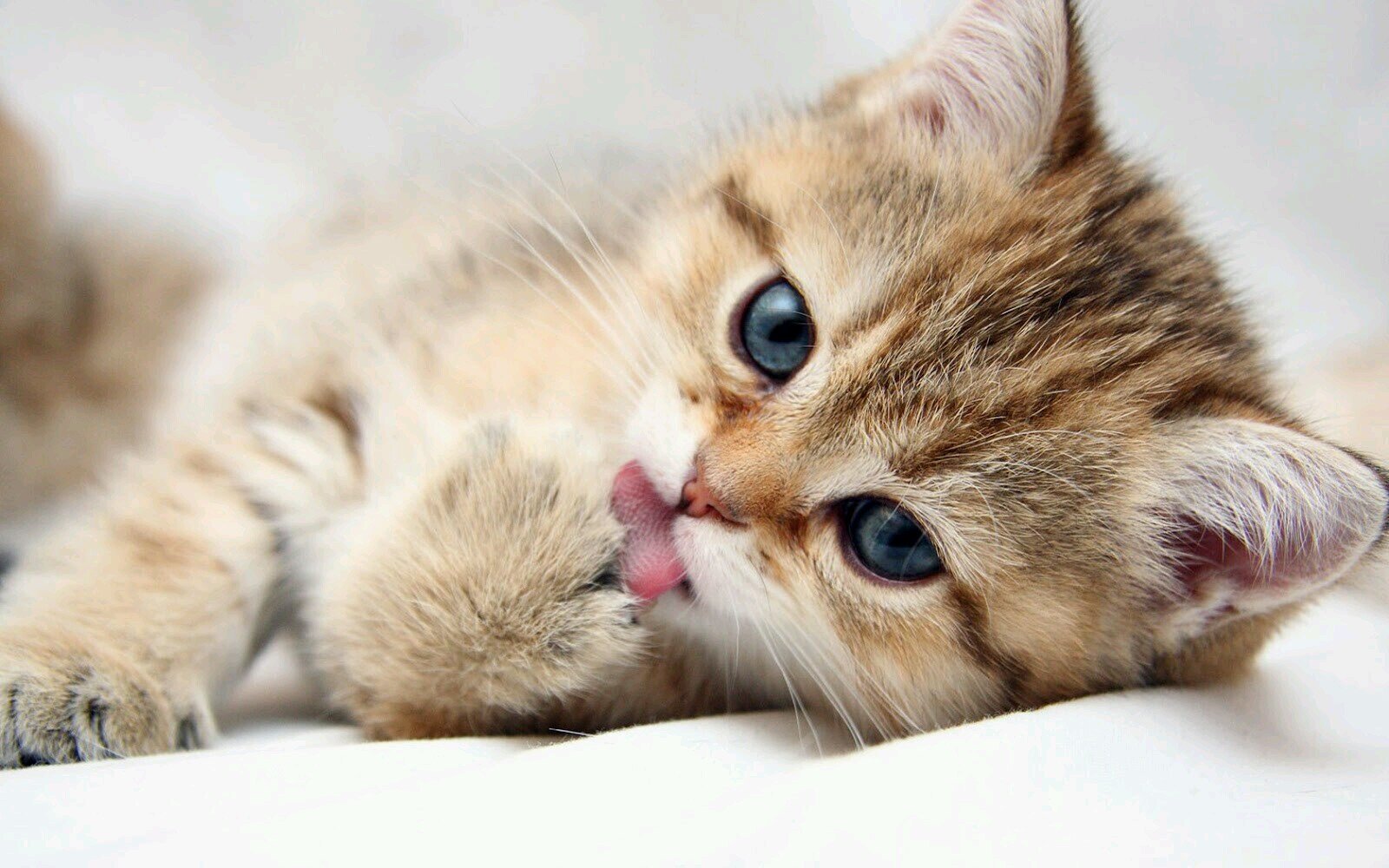 never regret anything that made u smile º  YOLO   .....good advise was always hated but looking back it made me greater