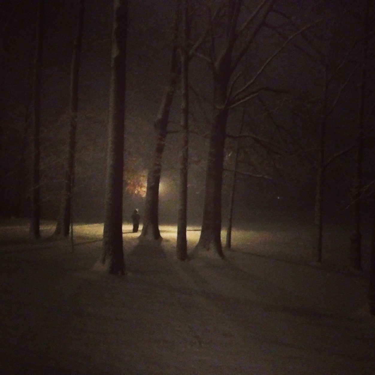 rarobins93's profile picture. Family physician, married to Aimee. father of 3 boys, seminary student, rectified via the faithfulness of our Lord Jesus Christ