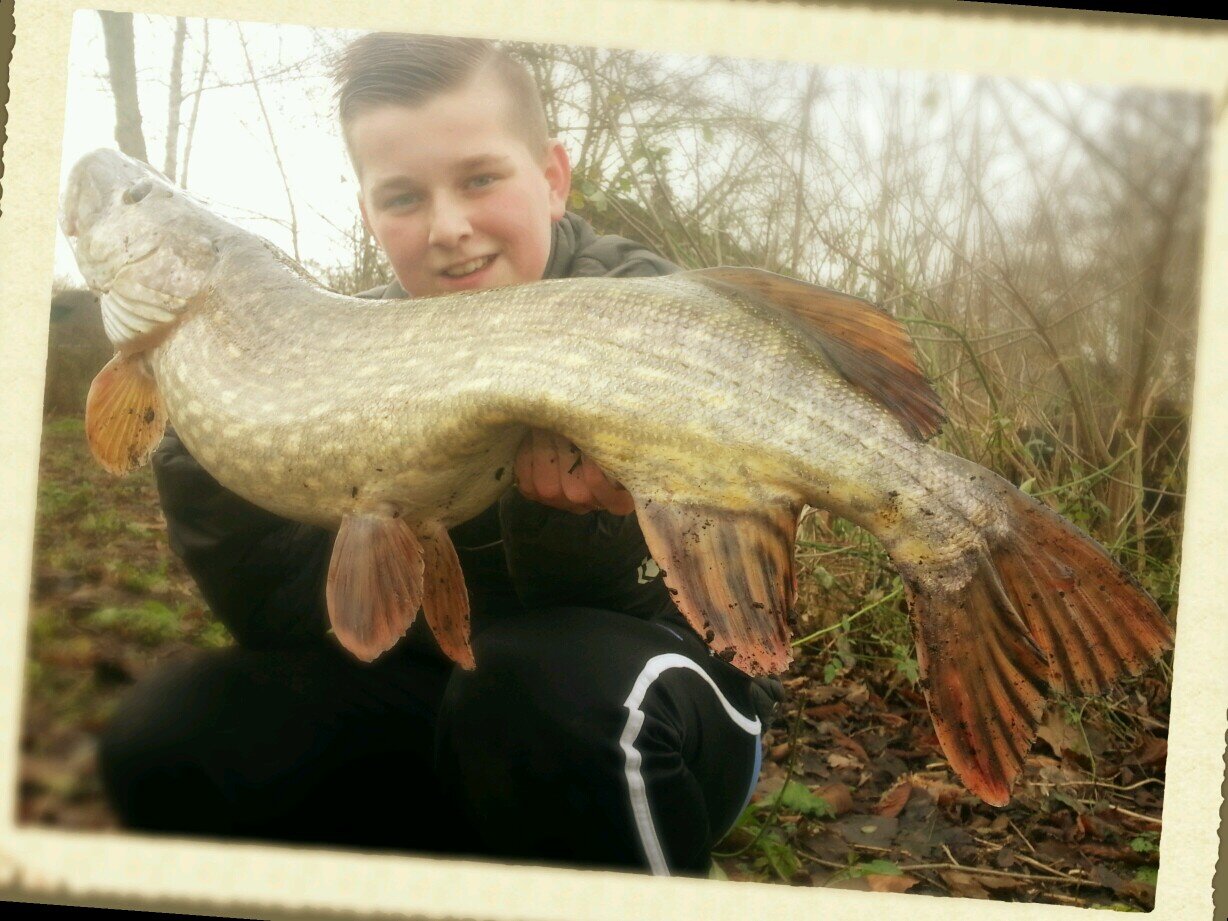 GroeneGoudVis's profile picture. Basketbal~MicaelJordan~MonsterEnergy~DARK x AIR xbox name~Cod~AC. Deze bio werd medemogelijk gemaakt door condoomfabriek.nl