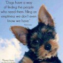 Kim Brazil - @Kimber45s - Twitter