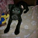 sheena ford - @ford_sheena - Twitter