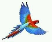 HEART SHOULD NEVER BE BROKEN $ Too Be Made Go To Work Get $