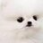 MoMo_risu's profile image