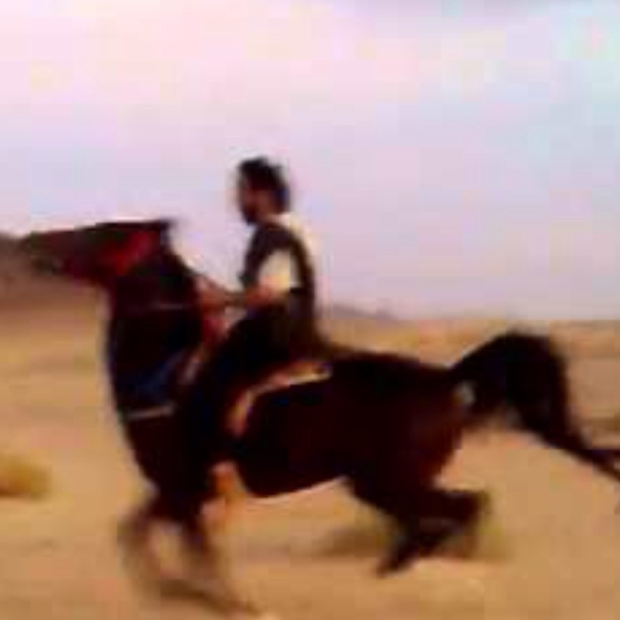 جمال يسقى العيون حباً من الشهد / ويفرح نسيم الريح عند مرورها هي جمال القلب والروح والجسد / عاشق الجمال والحسن جمالها
