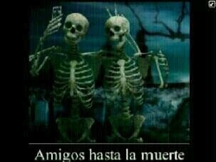 J1barahona83's profile picture. amerika pipe