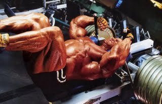 mastodireport's profile picture. bodybuilder