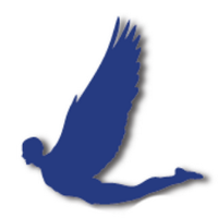 Rescue a CEO (@rescueaceo) 's Twitter Profile
