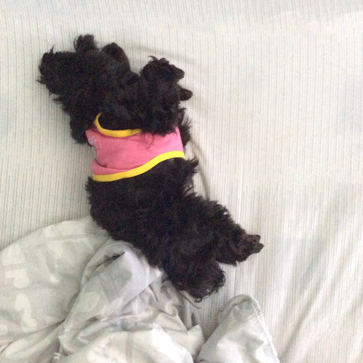 chaninida's profile picture. 