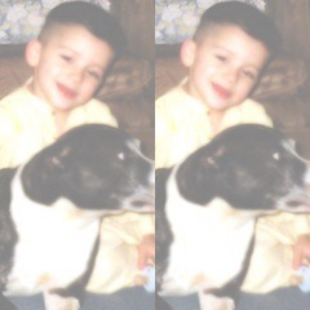 fairzayn's profile picture. free follow - softyziam