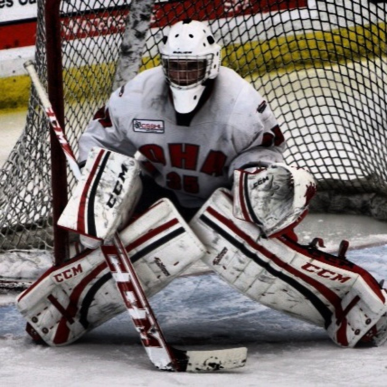 HockeyWells's profile picture. 