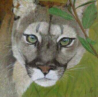 mavilaalo's profile picture. 