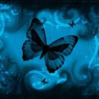 dianne collom (@diannecollom) 's Twitter Profile