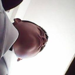 ROBERTOMOLERV's profile picture. 