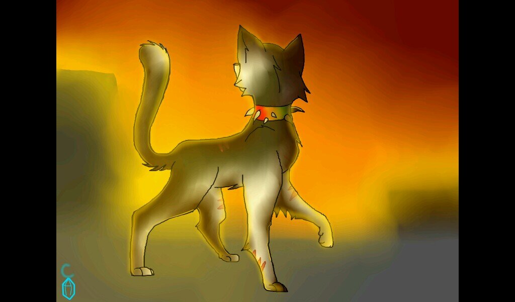 Black and white tom, with Rainbow spiked collar and Green eyes. Scourge is my partner, And he tells me what do. Not you.