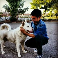 Baha (@bahasimsekk) 's Twitter Profile