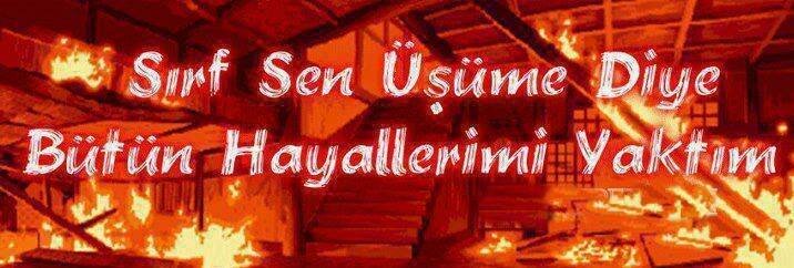 UgurGemici55's profile picture. 