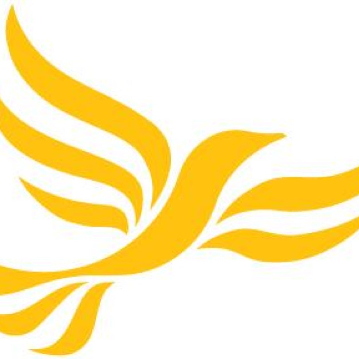 Coming soon networking hour to discuss Liberal Democrat policies