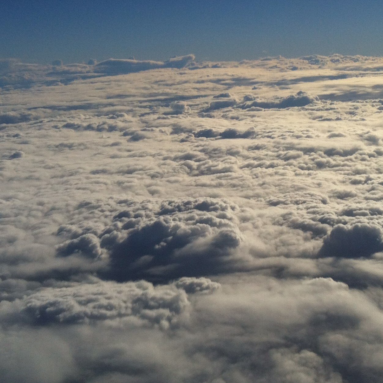 lourammaert's profile picture. 