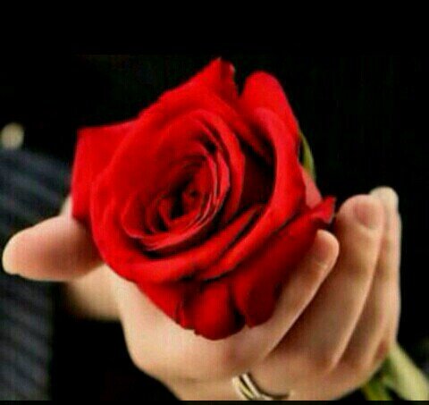  يَ عسىَ حسہاا عنَ سنينيَ ماايغيبَ ، وعسىَ ربي ماايكتبَ ليَ عُمر من دونهاا
#اامي ♡ 