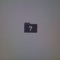 hairshirt (@hairshirt) 's Twitter Profile